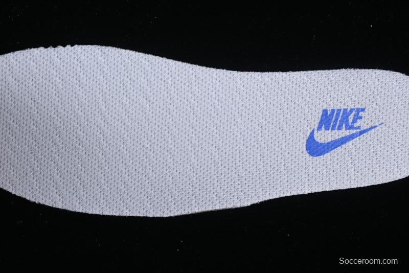 Nike Dunk Low SB Skateboarding Shoes - FD2562-300